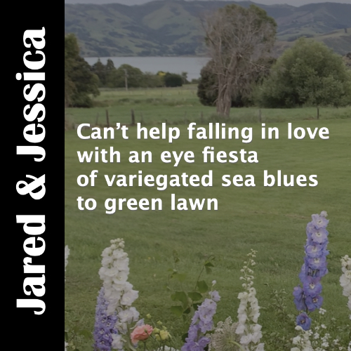 marriage and love, ceremony on Banks Peninsula