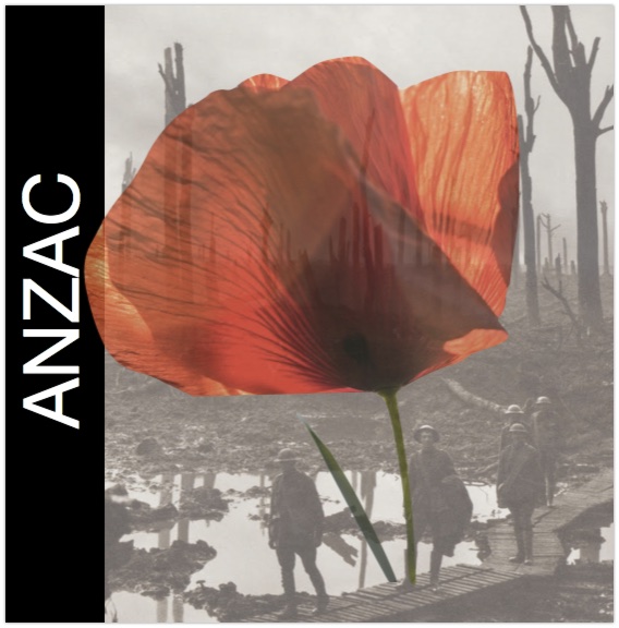 ANZAC war poetry