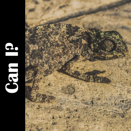 Can I explores identity through Christian poetry video