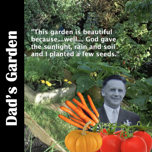 Death of a family member - memories in poetry Spoken Word