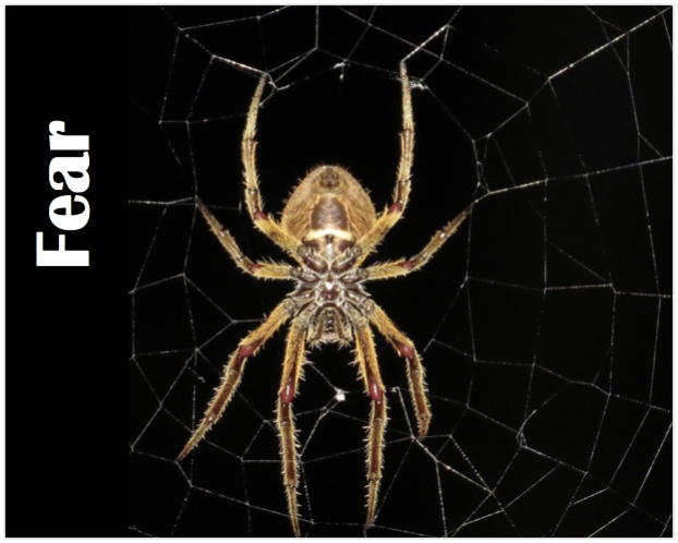 Fear God Poem (Christian Media)