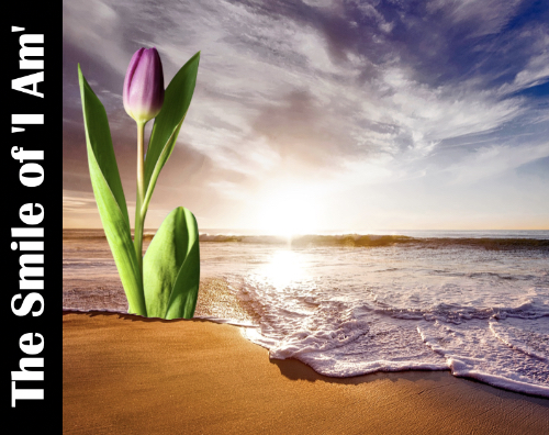 Recapture your first-love for Christ