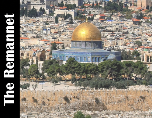 The Root of the Olive tree grafted in.