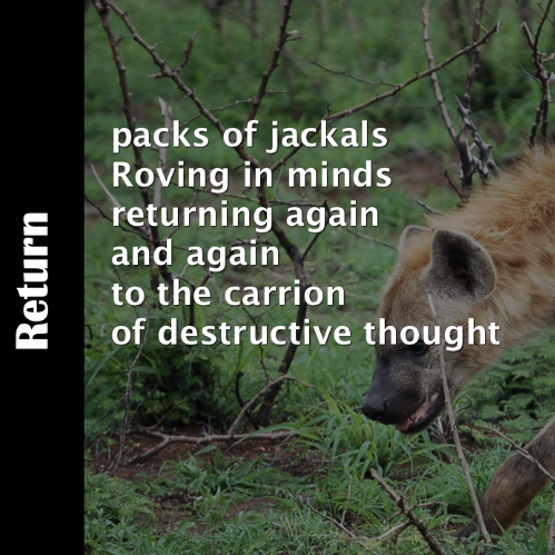 Spoken word poem on the destructive thinking we can have