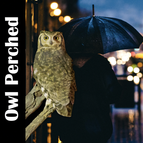 Watching life, seeing under the surface. Spoken Word Video Poetry