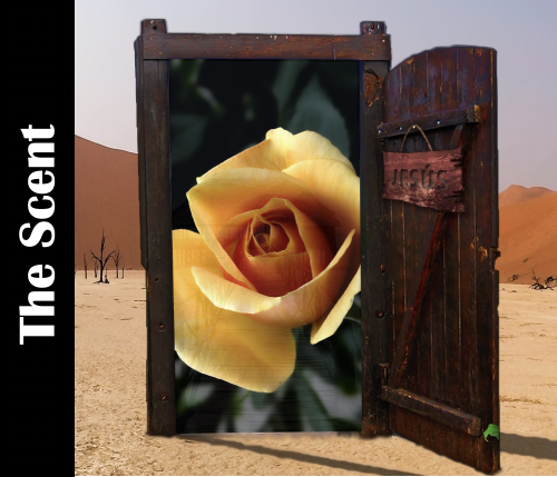 Spoken word video, evangelism as a Christian - telling your story