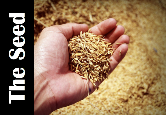 Sharing your faith by sowing seed poetry, spoken word