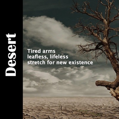 Rain of HoySpirit falls bringing the dry desert landscape to life.