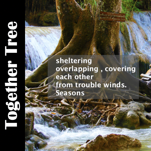 The church is a tree of life by living waters - Spoken Word Poem