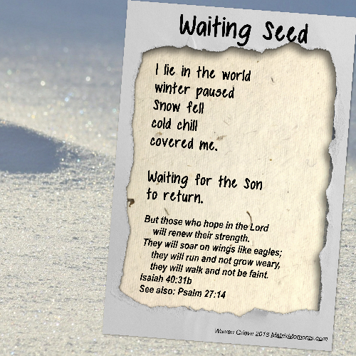 Covered in snow - waiting for God Spoken-Word