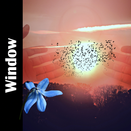 Window Worship Video Spoken Word Poem